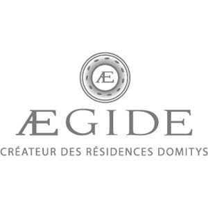 Logo-AEGIDE-gris